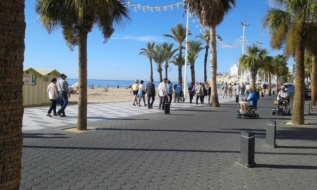 Apartamento Rex Benidorm Dış mekan fotoğraf