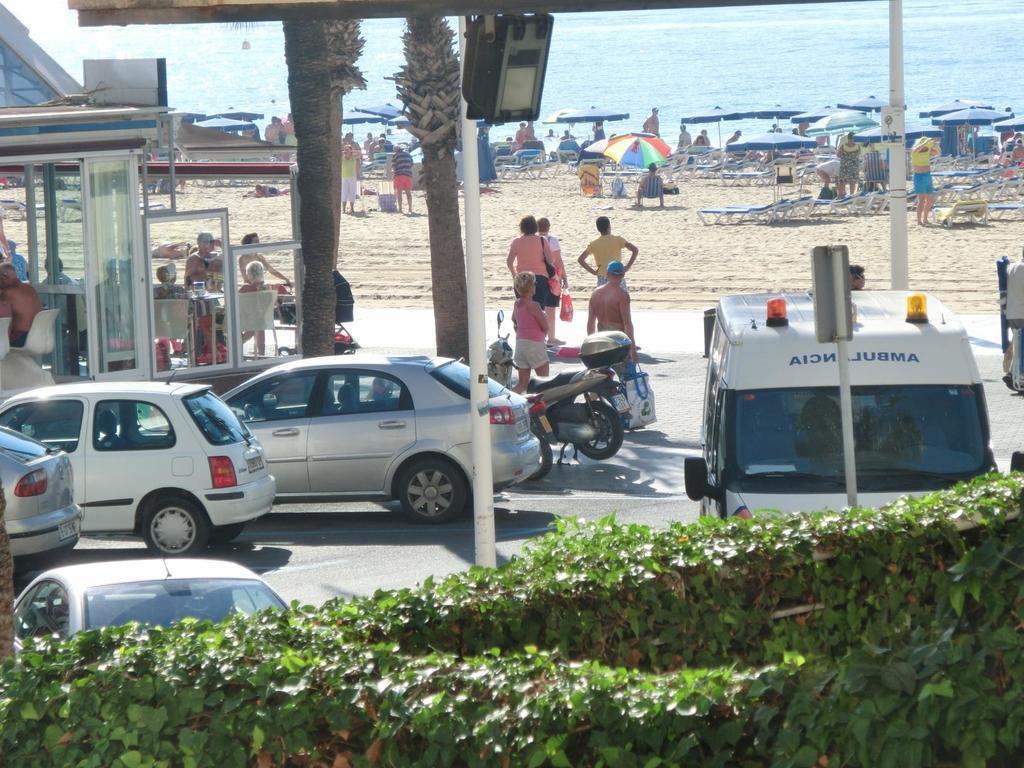 Apartamento Rex Benidorm Dış mekan fotoğraf